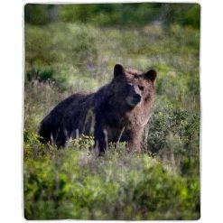 Best Sale ???? Lavish Home Sherpa Fleece Throw Blanket ✨ -Ella Jayne shop unnamed file 1069