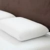 Budget ???? Lavish Home Remedy Comfort Gel Memory Foam Pillow With Cover ✨ -Ella Jayne shop unnamed file 1964