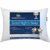 Wholesale ❤️ Serta Good Night Sleep Pillow 2 Pk. ???? -Ella Jayne shop unnamed file 2031