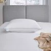 Wholesale ⭐ Martha Stewart Collection Premium White Down Pillow ???? -Ella Jayne shop unnamed file 2047