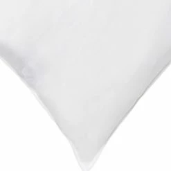Budget ???? Ella Jayne All Sleeper Allergy & Dust Mite Resistant Luxury Memory Fiber Pillow ???? 5 Budget ???? Ella Jayne All Sleeper Allergy & Dust Mite Resistant Luxury Memory Fiber Pillow ???? -Ella Jayne shop unnamed file 2058