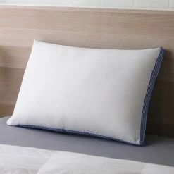 Discount ???? Cozy Classics Plush Embossed Pillows Set Of 2 ✔️