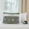 Buy ???? SpringLoft Premium Down Alternative Pillow 2 Pk. ???? 2 Buy ???? SpringLoft Premium Down Alternative Pillow 2 Pk. ???? -Ella Jayne shop unnamed file 2084