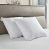 Outlet ✨ Martha Stewart Collection Martha Stewart 233TC Cotton Decorative Feather Pillow Insert 2 Pk. ???? 1 Outlet ✨ Martha Stewart Collection Martha Stewart 233TC Cotton Decorative Feather Pillow Insert 2 Pk. ???? -Ella Jayne shop unnamed file 2088