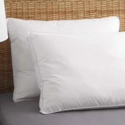 Buy ???? Cozy Classics Allergen Barrier Gusseted Pillows Set Of 2 ????