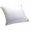 Outlet ✨ AllerEase Euro Pillow ???? 2 Outlet ✨ AllerEase Euro Pillow ???? -Ella Jayne shop unnamed file 2151