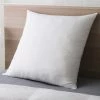 Cheapest ???? Cozy Classics Big And Soft Euro Pillows Set Of 2 ???? 1 Cheapest ???? Cozy Classics Big And Soft Euro Pillows Set Of 2 ???? -Ella Jayne shop unnamed file 2202