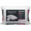 New ???? BeautyRest 233 Thread Count Memory Foam Cluster Pillow ⌛ -Ella Jayne shop unnamed file 2290