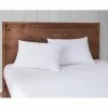 Coupon ???? London Fog Supreme Memory Foam Pillow 2 Pk. ???? 1 Coupon ???? London Fog Supreme Memory Foam Pillow 2 Pk. ???? -Ella Jayne shop unnamed file 2397