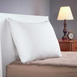 Cheapest ???? Sealy Refreshing Comfort Pillow ???? -Ella Jayne shop unnamed file 2401